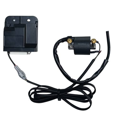 Schnelle ECU Piaggio/Vespa euro4 (Zip, Sprint und Primavera)